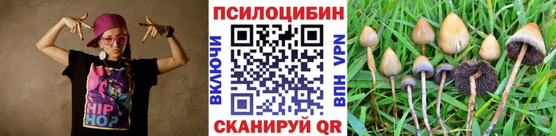 даркнет сайт  Кондрово  Псилоцибиновые грибы ЛСД 
